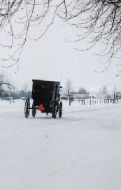 Winter in Amish Country